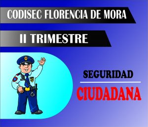 Plan distrital de Seguridad Ciudadana 2019 (II trimestre)