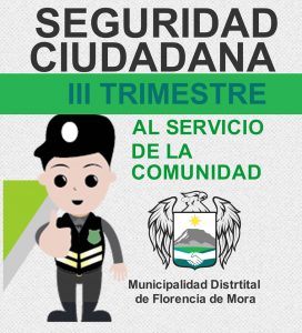 Plan distrital de Seguridad Ciudadana 2019 (III trimestre)